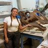 Maria Grace Burton in the DMNS prep lab