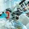 A researcher uses a microscope in a laboratory