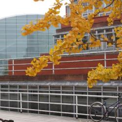 The Faculty of Law at the University of Cambridge