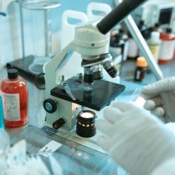 A researcher uses a microscope in a laboratory