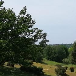 A group of Harding Scholars sitting outside at Sutton Hoo