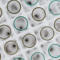 Text tubes in a laboratory