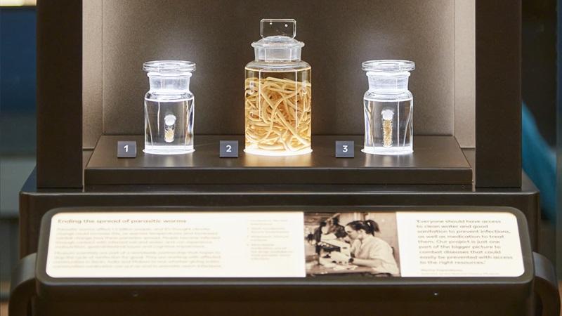 Marina Papaiakovou's display on parasitic worms, featured in the Natural History Museum