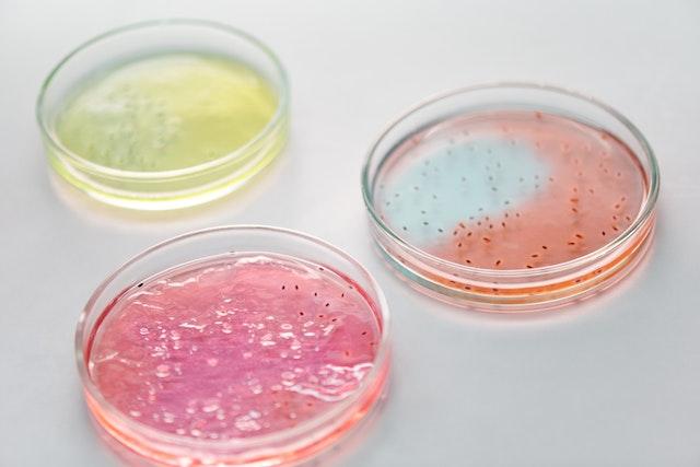 Petri dishes